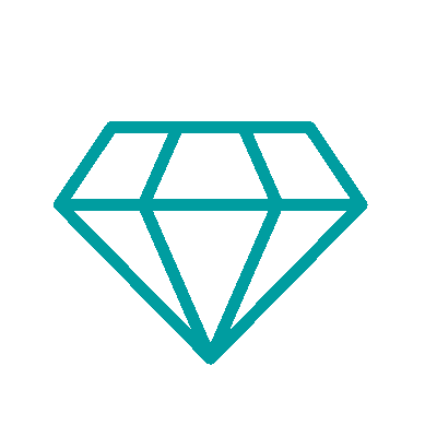 Feature icon