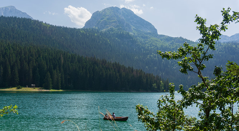 Šume i planine